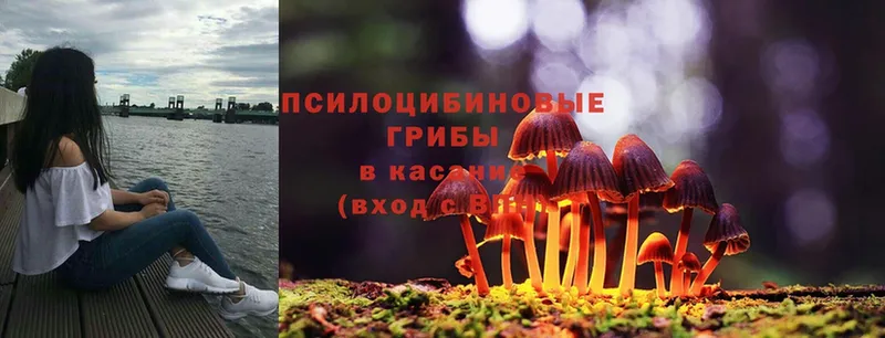 Галлюциногенные грибы Psilocybe  KRAKEN маркетплейс  Пыть-Ях 